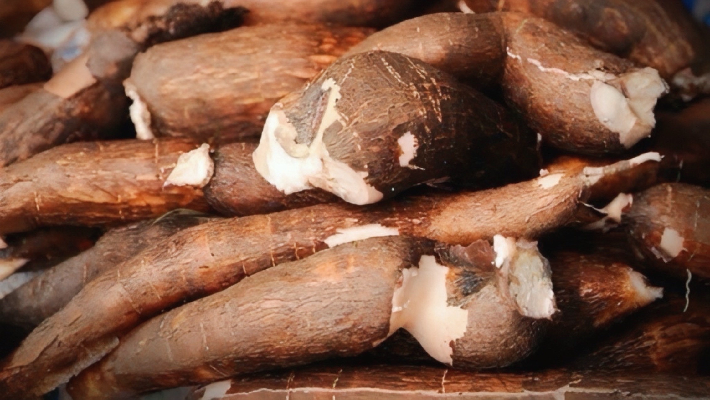 Harga Singkong Anjlok, Mentan Soroti Impor Berlebihan