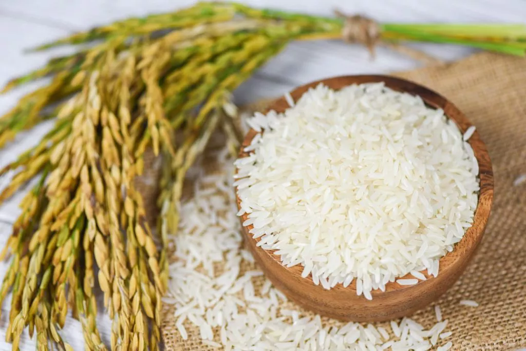 Pasokan Beras Premium Aman di Pasar Tradisional Meski Ritel Modern Mengalami Kelangkaan